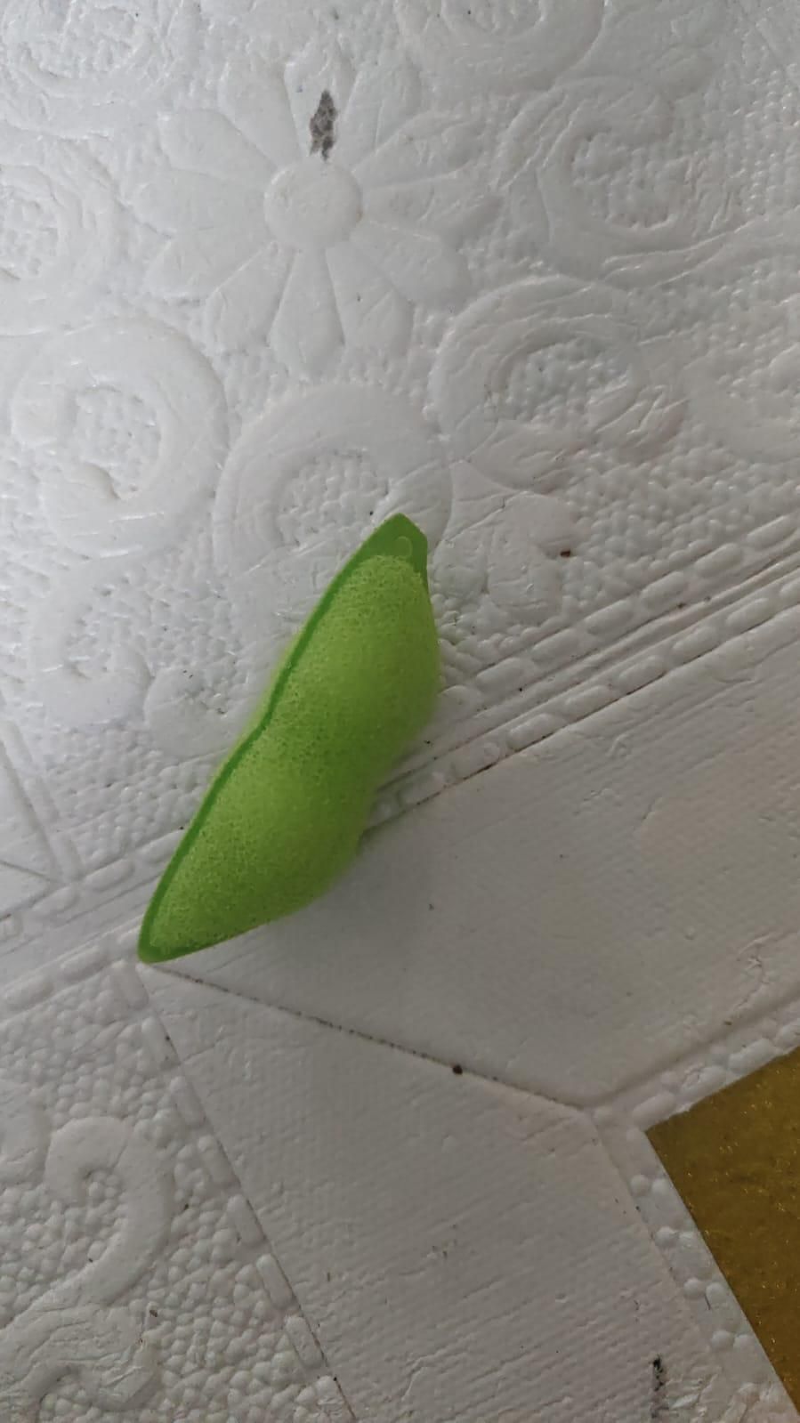 Beans Shaped Bottle Cleaning Sponge Pack of 2