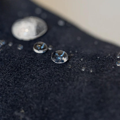 Prosheld Guardian Spray 100ML (Pack of 2)